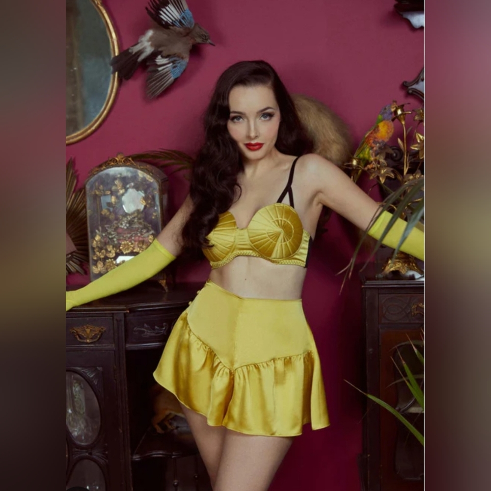 NIP Bettie Page French Satin Knickers US Womens Size 12
